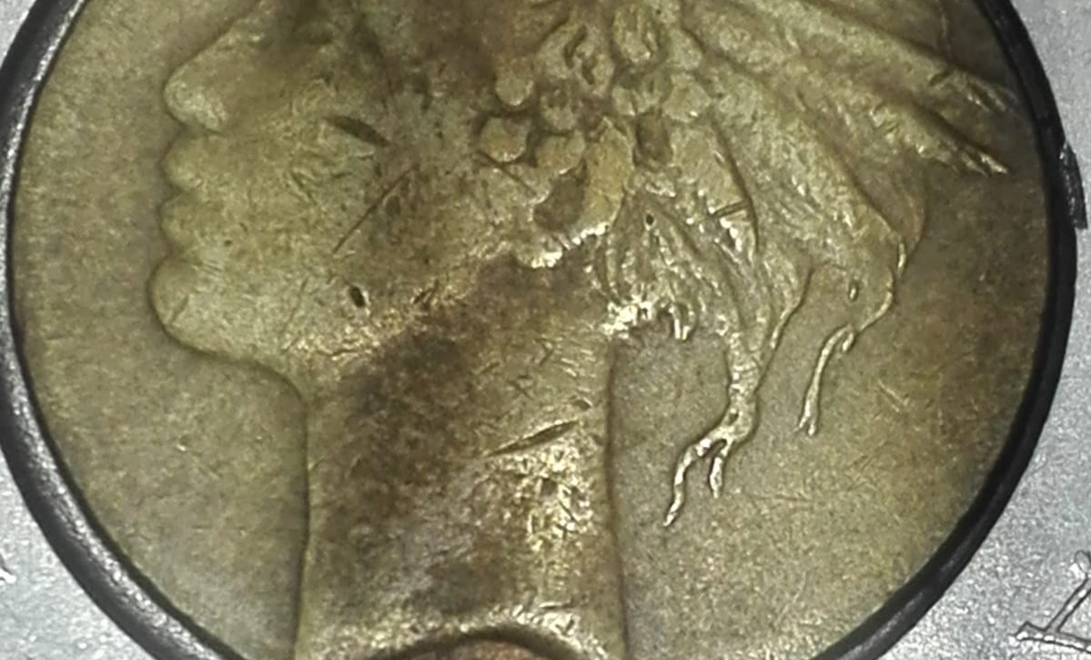 sena coins